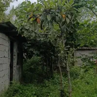 زمین مسکونی ویلایی|فروش زمین و ملک کلنگی|اردبیل, |دیوار