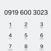 خط 919 اعتباری