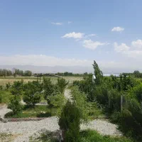 باغچه کاسبی کاسبی در بختیار فوری|فروش زمین و ملک کلنگی|تنکمان, |دیوار