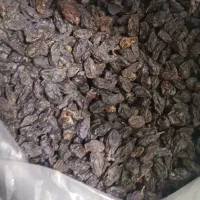 مویز سیاه درجه یک دشمن زیاری