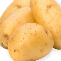 جیلی درجه یک در دهگلان