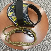 خانه سگ و قلاده و پارک سگ|لوازم جانبی حیوانات|باغستان, |دیوار