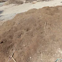 فروش کود گوسفندی|خدمات باغبانی و درختکاری|رودان, |دیوار