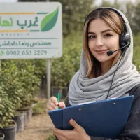 فروش نهال مرکبات زرشک سماق سنجد عناب انگور گلدانی