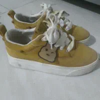 کتونی|کیف، کفش، کمربند|علی‌آباد کتول, |دیوار