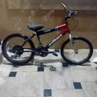 دوعدوچرخه