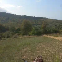 فروش زمین جنگلی و باغی با ویو عالی