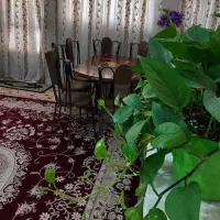 سوئیت تمیز و مستقل