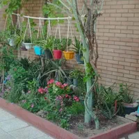 اجاره آپارتمان مبله شیک تمیزمرکزشهر اصفهان آتشگاه|اجارهٔ کوتاه‌مدت آپارتمان و سوئیت|اصفهان, گورتان|دیوار