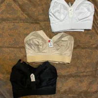 سوتین لعیا به قیمت عمده|لباس|شاهین‌شهر, حافظ جنوبی|دیوار