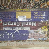 فرش ۱۲ متری در حد نو|فرش|کرمانشاه, |دیوار