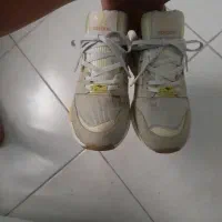 zx8000 برزنتی لیمویی صندل