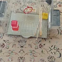 قفس پرنده|لوازم جانبی حیوانات|شیراز, ریشمک|دیوار
