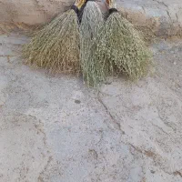 جارو
