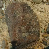 شهاب سنگ فروشی با پوسته کاملا سوخته