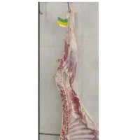 گوشت گوساله،گوسفند،لاشه،تیکه‌ای چرخ کرده و دنبه|خوردنی و آشامیدنی|اصفهان, عسگریه|دیوار