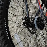 دوچرخه 29 ویوا|دوچرخه، اسکیت، اسکوتر|تهران, افسریه شمالی|دیوار