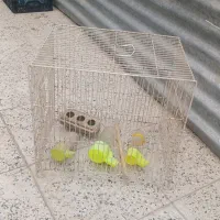 قفس پرنده