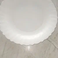 سرویس ارگوپال ۲۴ نفره