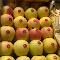 سیب زرد مراغه