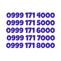0999-171-7000