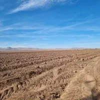 اجاره زمین کشاورزی