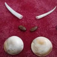 مهره|کلکسیون اشیاء عتیقه|آباده, |دیوار