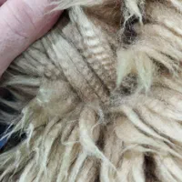 پوست گوسفند مرینوس ( خارجی )|صنایع دستی و سایر لوازم تزئینی|میانه, |دیوار