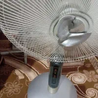 پنکه