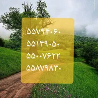 تلفن ثابت رند|تلفن رومیزی|تهران, فلاح|دیوار