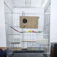 قفس کاسکویی بزرگ|لوازم جانبی حیوانات|سنندج, |دیوار