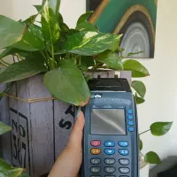 کارتخوان آکبند استوک پوز|فروشگاه و مغازه|مشهد, هنرور|دیوار