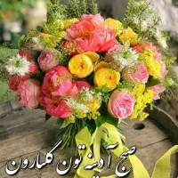 سرویس مدرسه خلیج فارس