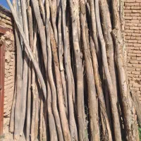 چوب