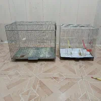 قفس پرنده