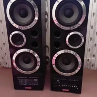 کار کرده است