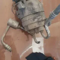 کاور نو|کیف، کفش، کمربند|اردبیل, |دیوار