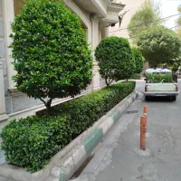 خدمات باغبانی وهرس کاری در تمام نقاط کرج|خدمات باغبانی و درختکاری|کرج, گوهردشت|دیوار