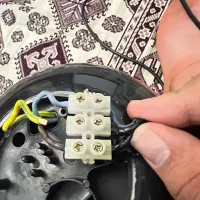 کروز ساندروی