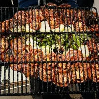 مرغ ماهی گل پری