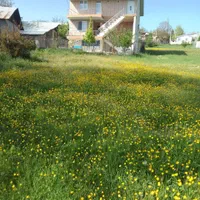 اجاره روزانه/هفتگی/ماهانه آپارتمان ۱۱۰ متری|اجارهٔ کوتاهمدت آپارتمان و سوئیت|برهسر, |دیوار