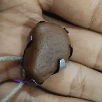 هبهاب سلطانی گبری فعال