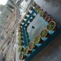 باغچه به متراژ ۳۰۰۰ متر|فروش زمین و ملک کلنگی|قنوات, |دیوار
