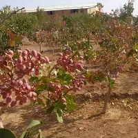فروش آب و زمین ب صورت استثنائی