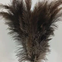 گرد گیر مغازه و منزل