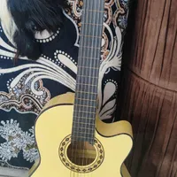 گیتار حرفه ای