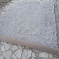 موکت