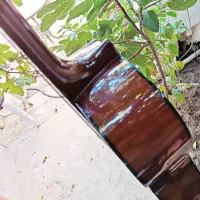 یاماها سی هفتاد|گیتار، بیس، امپلیفایر|کرج, شهرک اوج|دیوار