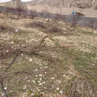 یک-قطعه-باغ-به-متراژ-1500-متر