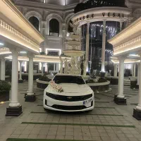 اجاره ماشین عروس|خدمات پذیرایی، مراسم|ری, فیروزآبادی|دیوار